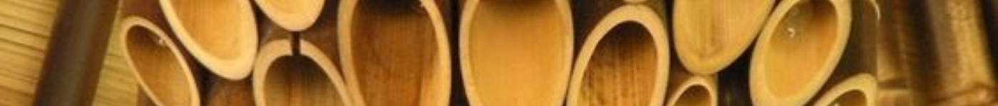 casa de guadua Colombia (3) casa de guadua Colombia (3)